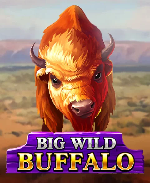 Play Big Wild Buffalo at Mr Sloty Casino